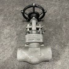 WARREN 852-8-S-624 1" Globe Valve Class 800 1975 PSI, No Box