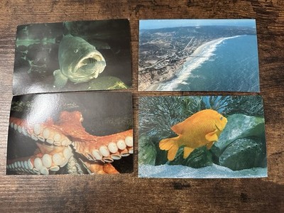 Lot 4 Vintage Scripps Institution Oceanography Aquarium Postcards