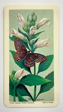 Baltimore No 9 Butterflies of North America Brooke Bond Tea Card HH753