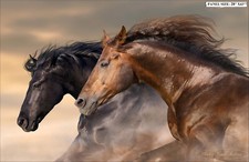 NORTHCOTT "MAVERICK" DP23613-12 HORSES FABRIC PANEL 28"X43"