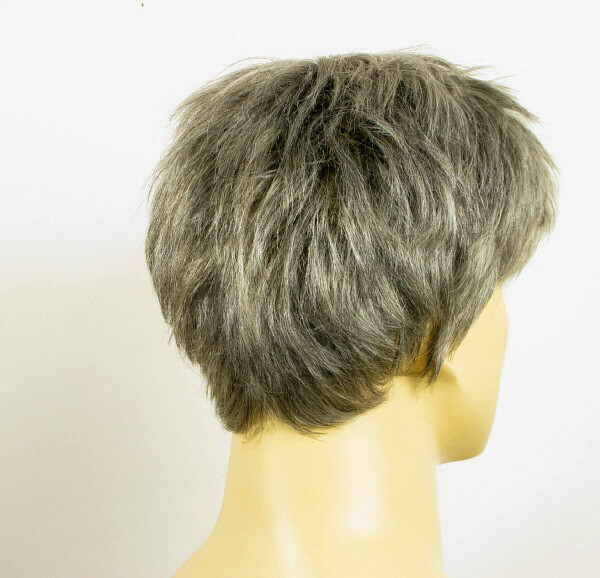 Perruque Homme JAMES 44 - Cheveux 100% Naturels Gris Avec Mèche Blanche - Neuf Avec étiquettes