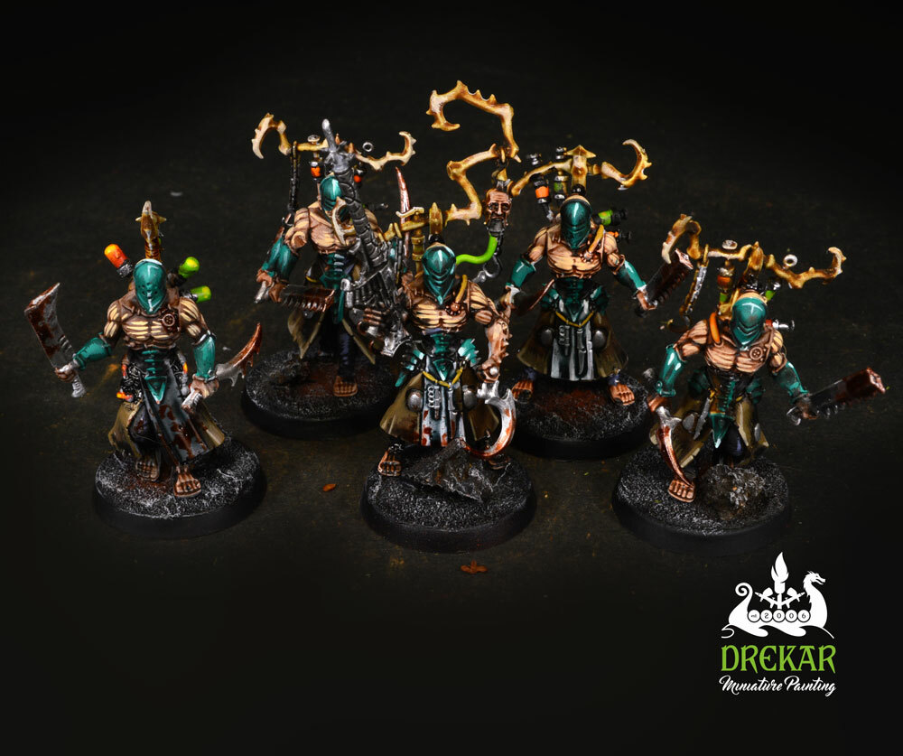Wracks Drukhari Dark eldar warhammer 40K ** COMMISSION ** painting | eBay