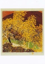 Postcard Gustave Baumann "Autumnal Glory" n.d. Museum of Fine Arts NM MINT