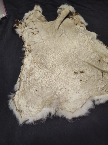 ZEBRA DESIGN GENUINE RABBIT SKIN new solf tan hide fur pelt craft skins bunny - Picture 6 of 14