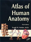 Atlas of Human Anatomy, Third Edition Frank H. Netter paperback Used - Good
