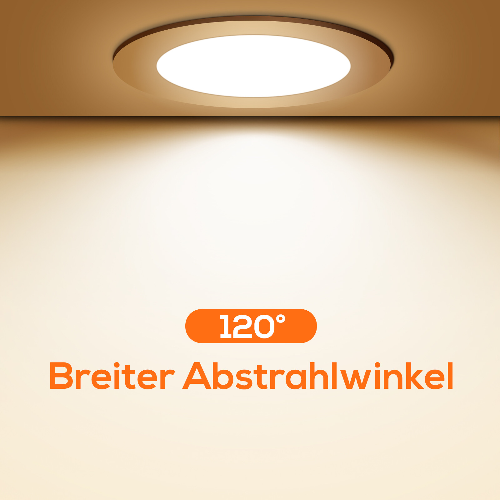 Bild 9 von 37