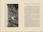 Foto 2 di 4