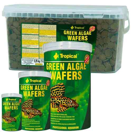 Tropical Green Algae Wafers Tabletki do karmienia, Tabletki Sumy Karma Chipsy - Zdjęcie 1 z 14