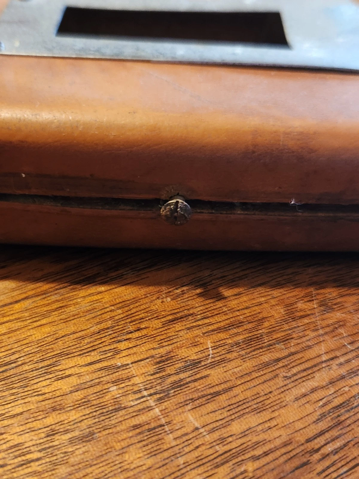 Picture 19 of 19