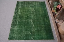 Rug, Green Area Rug 3.5x4.7 ft