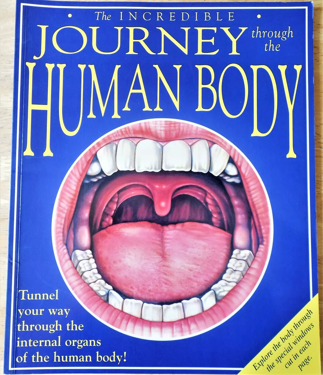 Journey through the human body