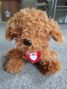 Waffle The Wonder Dog Talking / Singing Teddy | eBay