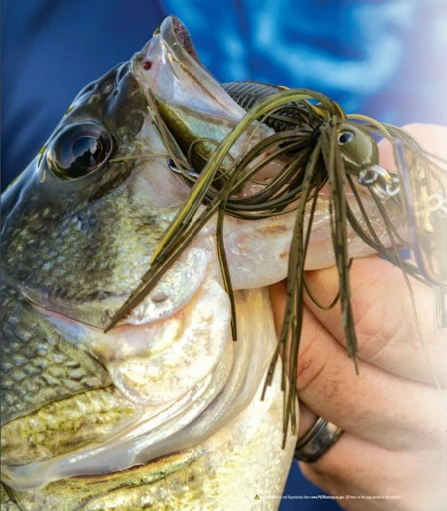 Terminator SDB Cebo Tembloroso Plantilla de Natación Pick 3/8 1/2 OZ Chatter Descontinuado Foto 2 de 2