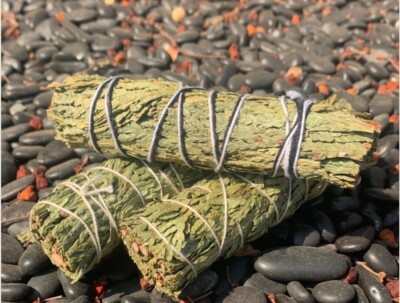 Wild Native Organic Red Cedar Bundle - Set of 3