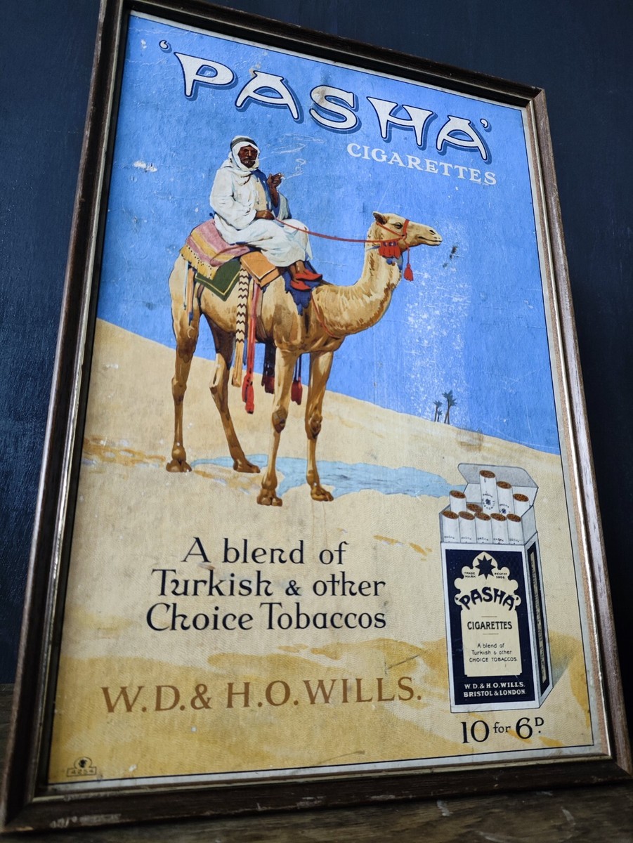 Pasha Cigarette Show Card Vintage Advertising
