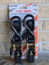 Erickson Retractable Ratcheting Tie-down Straps 1200 LB 6 FT L X 1 in W