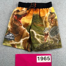 Youth Jurassic World Swim Shorts T Rex Graphic Print Lined Size 6/7