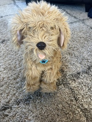 SkyRocket  Moji the Lovable Labradoodle *Dog and Collar Only*