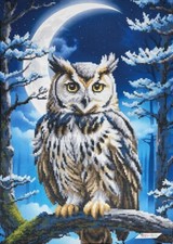 Bead Embroidery Kit Owl DIY Craft Kit Stamped Needlepoint DIY zpt-039