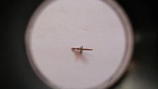 JAEGER LECOULTRE - 19R 219 723 - Clock Calibre Balance Staff NEW