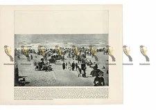 Beach at Scheveningen, Holland (Netherlands), Book Illustration (Print), 1899