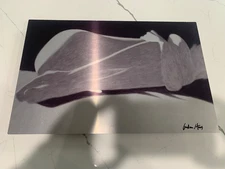 Gordon Haas Hand Signed ChromaLuxe Metal Print Float Mount Modern Art