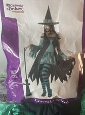 California Costumes Teen Emerald Witch - Black/Green  Size Teen 3-5 READ DESCRI