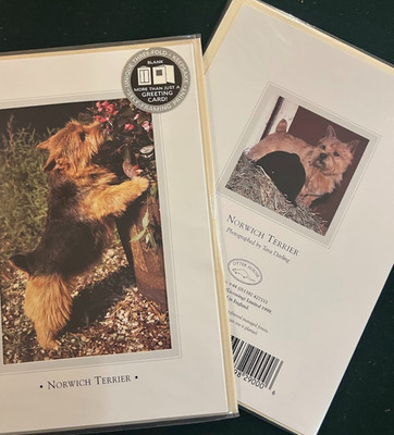 Norwich Terrier Vintage Greeting Cards By Otter House Uk 1999 pack of 6