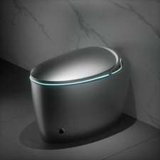 Smart Toilet Auto Open/Close Lid Bidet Dryer Foot Sensor LED Display 1.28 GPF