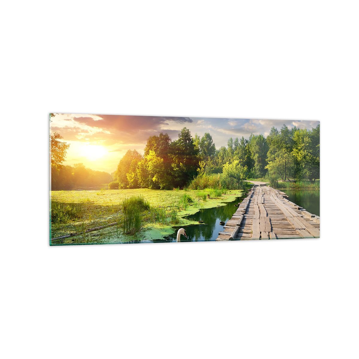 Quadro su Vetro 120x50cm architettura lungomare Cigno Paesaggio Stampe Murale