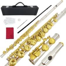 16 Keys Closed Hole C Flute Kit for Beginners with Carrying Case, Stand