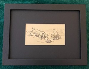 Sealyham Terrier  MATTED | FRAMED | READY TO GIFT - 1950 Vintage Dog Art Print