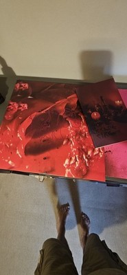 ARCADE FIRE - Pink Elephant - Vinyl (gatefold LP + book)