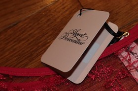 BNWT Agent Provocateur Henrieta Full Brief Size Extra Extra Small 2XS MSRP $95!!