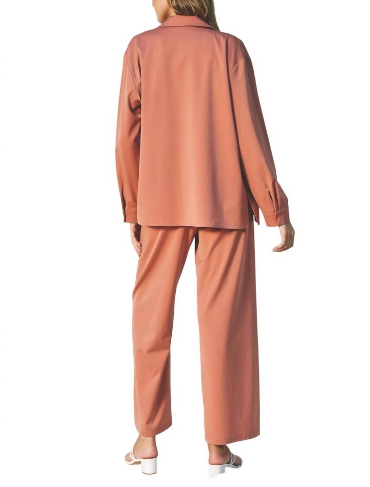 Dress Forum satin pant in Sienna size S eBay