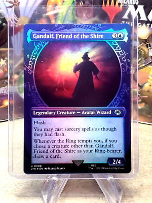 Magic The Gathering Foil Card Frodo & Samwise Borderless Foil MTG Card   Lord Of The Rings Scene, NM/M Condition Ungraded Near Mint MTG LOTR