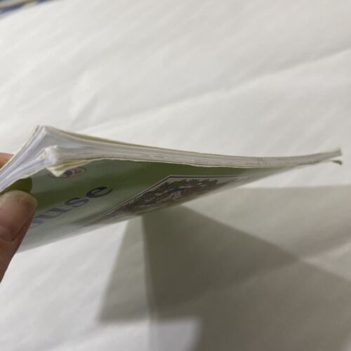 Ein Haus ist ein Haus für mich Buch von Mary Ann Hoberman Papageientaucher-Klassiker Taschenbuch - Bild 8 von 12