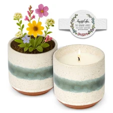 - The Growing Candle, Sandalwood & Vanilla Scented, 8.5oz Ceramic Pot, Aromat...