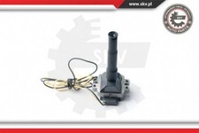 Bobine Audi S6