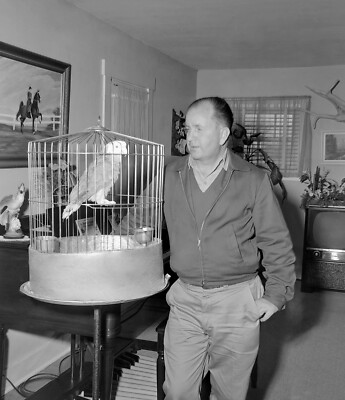 VINTAGE B/W PHOTO NEGATIVE - MAN ADMIRING HIS PET PARAKEET IN A CAGE