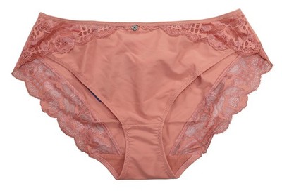 Fantasie Reflect Collection Lace Trim Brief Panty Women's Underwear L NWT Sunset
