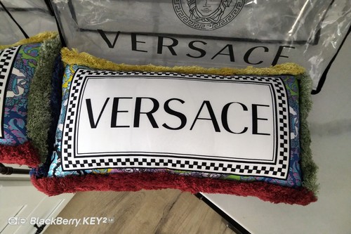 Neiman's Authentic Versace NIB's Set of 2 Versace Pillows Ret. $1398 + tx - Picture 13 of 14