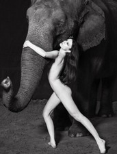 Circus, Clown, Carnivals, Posters, vintage 4" x 6" photo reprint Quality 015 * Circus, Clown, Carnivals, Posters, vintage 4" x 6" photo reprint Quality 015 *