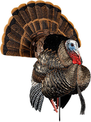 AVIAN-X HDR Strutter Turkey Decoy - Rugged Durable Realistic Lifelike Dominant B