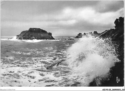 AIIP3-22-0298 - ST-QUAY-PORTRIEUX - Die Klippen und die Insel der Gräfin pa