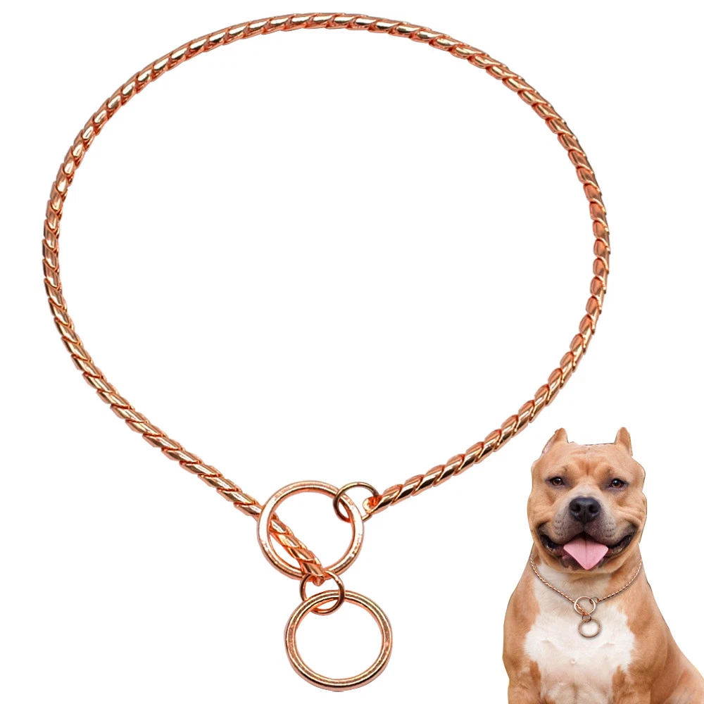 Rose Gold Choke Chain Dog Collars Snake Pet P Collar for Training Pitbull  S-2XL | eBay