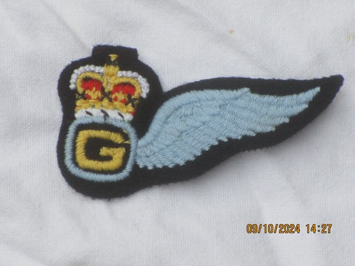 Army Air Corps, Half Wing Brevet, Door Gunner , AAC,Heeresflieger - Picture 2 of 3