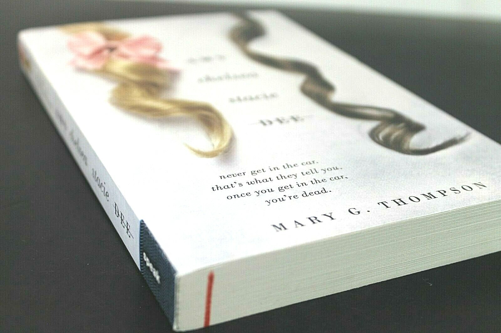 Amy Chelsea Stacie Dee by Mary G. Thompson (2017, Trade