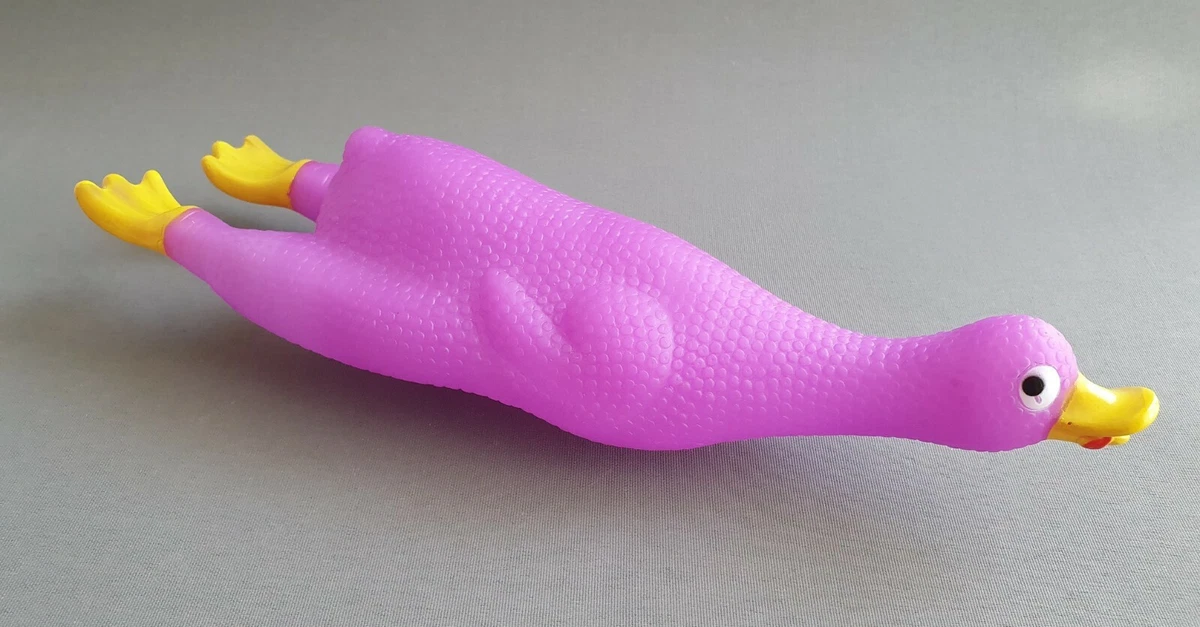 Rubber goose cheap dog toy