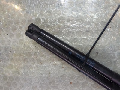 BMW X1 MK2 (F48) 2016 Bootlid Tailgate Gas Strut 7329410 | eBay